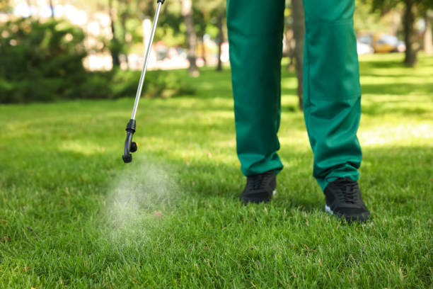 Seasonal Pest Control in Ridgewood, IL